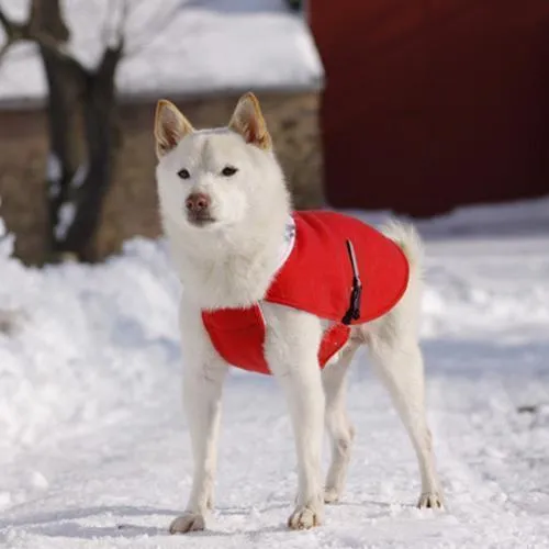 Original Fleece Dog Coat Red With Pawprint 8"